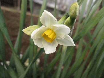 IMG_0800.JPG