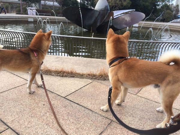rblog-20160122223436-06.jpg