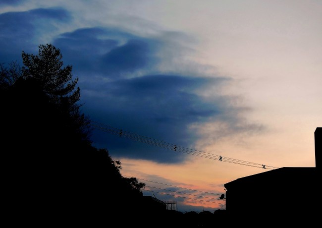 夕暮れ