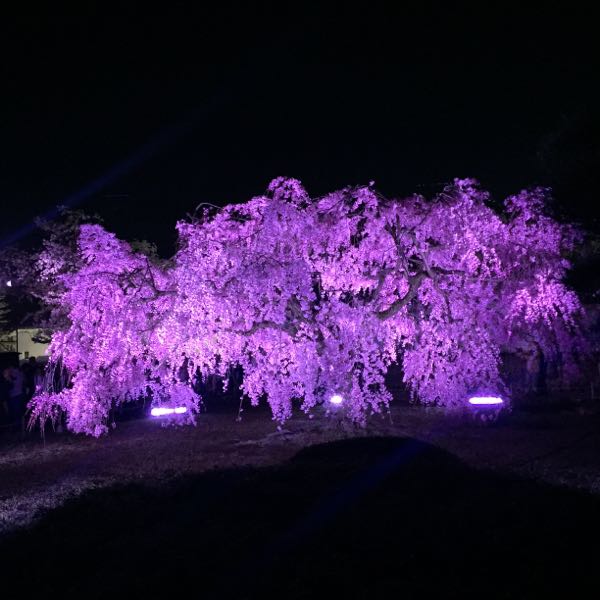 rblog-20180403214525-01.jpg