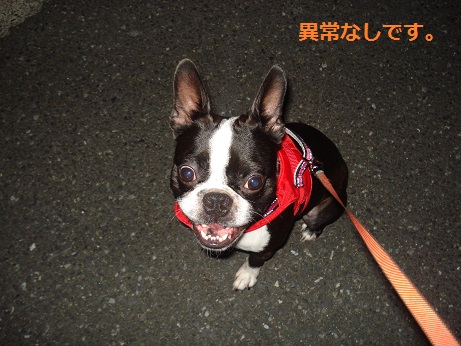 DSC04657.jpg