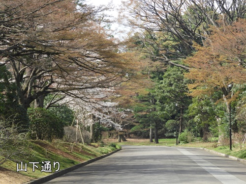 皇居乾通り一般公開