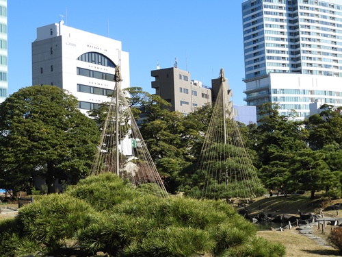 旧芝離宮恩賜庭園