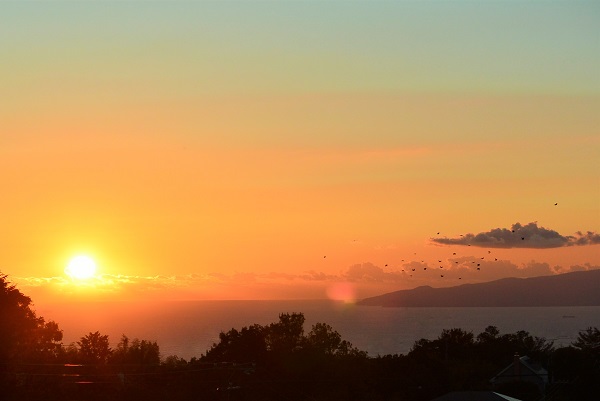 パルテール窓から