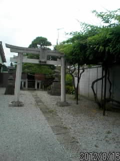 逆さ藤天神１