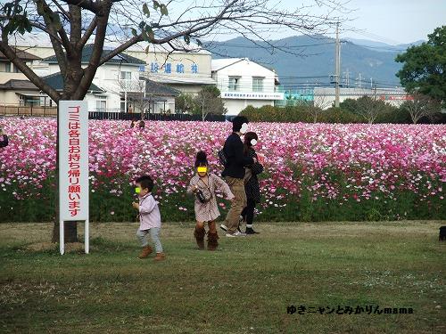 DSCF3511.jpg