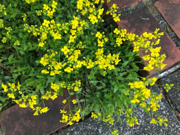 rblog-20180325190849-06.jpg