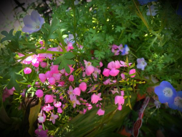 rblog-20160430165450-07.jpg