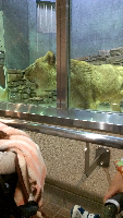 rblog-20130413132058-00.png