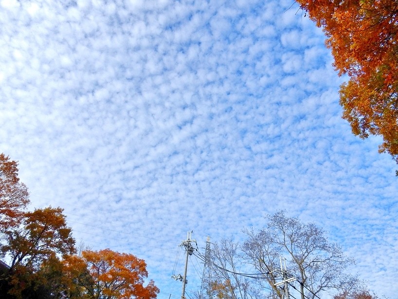 空 10.JPG