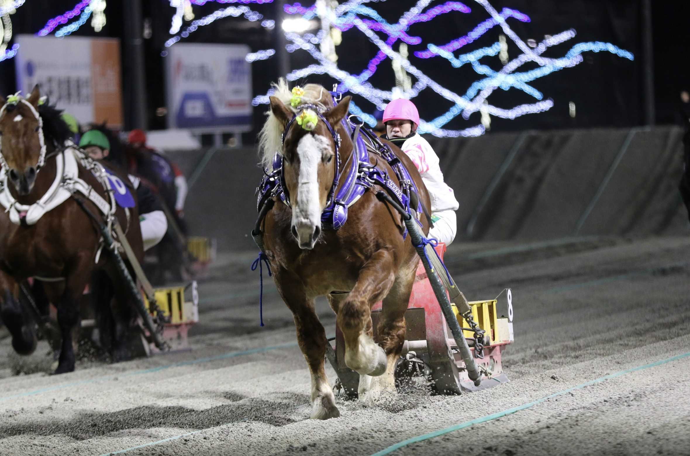 変則開催！今週は8日(木)9日(金)10日(土)の3日間 | ばんブロ（ばんえい