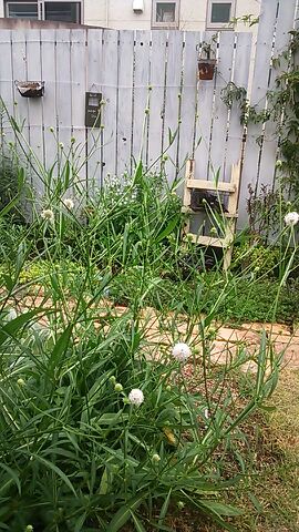 rblog-20140804163426-01.jpg