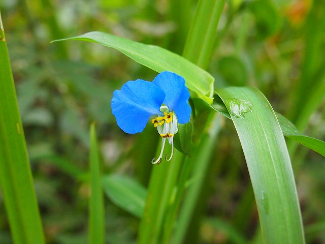 s-p2616.jpg