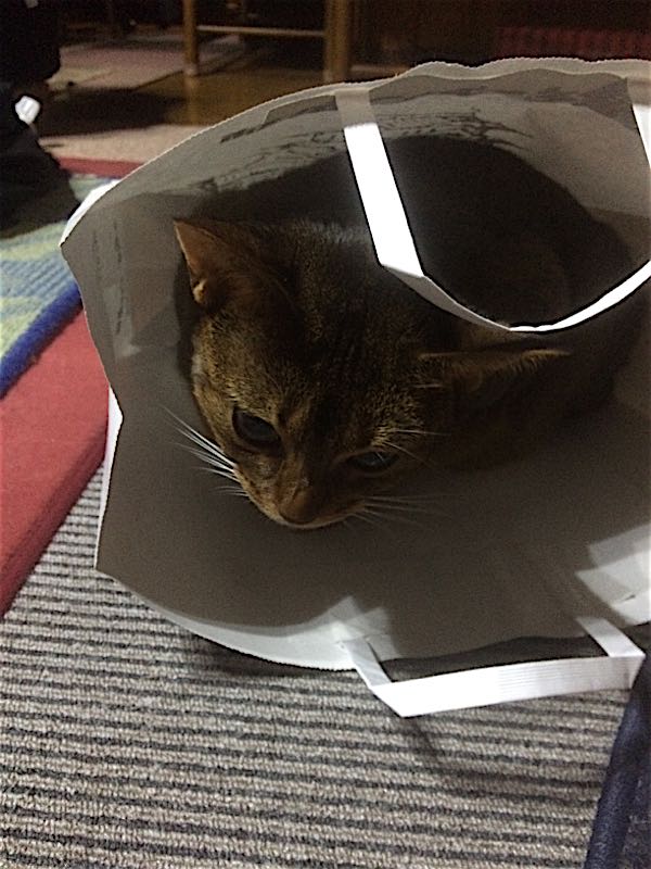 rblog-20151024182633-04.jpg