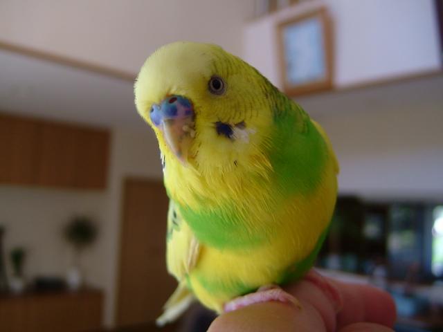 DSCF2338.jpg