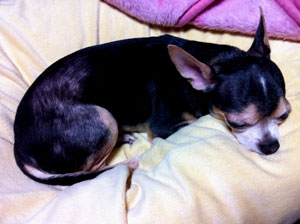 20130123らっくん