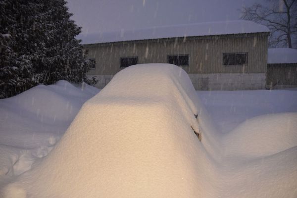 yuki180301.jpg