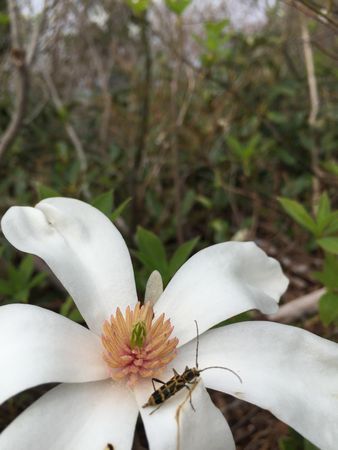 IMG_8523-p.jpg