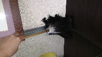 rblog-20130717113346-02.png
