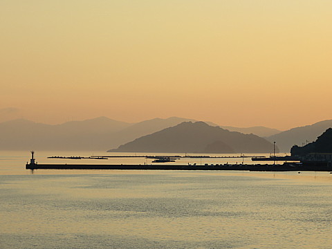 IMG_4600.jpg
