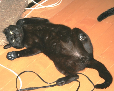 20120805ﾀｸ03.jpg