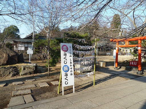 2013.3.17 037.JPG