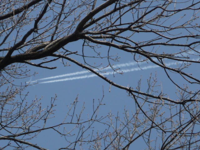 333 飛行機雲