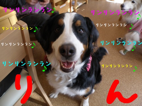 りん (2).JPG