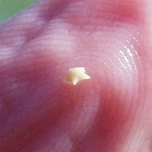 RIMG0952.jpg