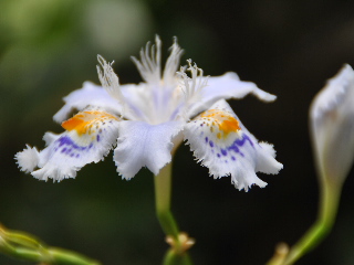 SSC_0316.JPG