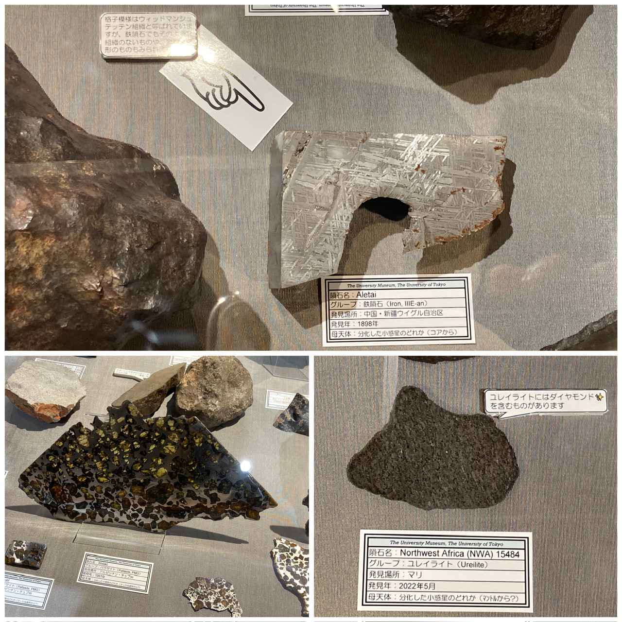 隕石ー星のカケラが語ること」文京区教育センター2階 | もりくまの