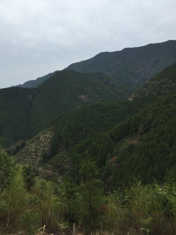 rblog-20160410232532-05.jpg