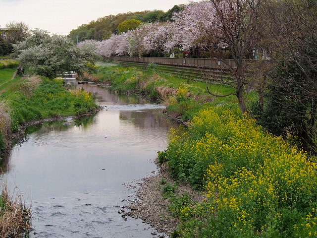 P4080249.jpg
