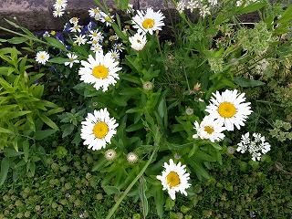 2015-05-27 18.03.32ss.jpg