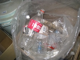 IMG_1583縮小 - コピー.jpg