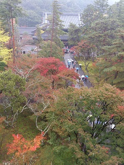 DSC_1965 - コピー.jpg