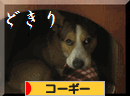 どきり.gif