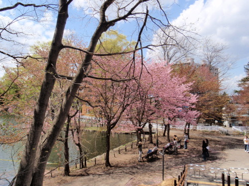 月寒公園1.jpg