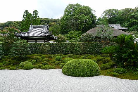 P1010019.JPG