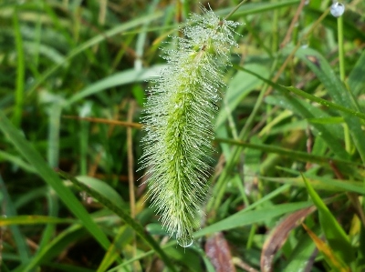 20160924_074100 (400x299).jpg