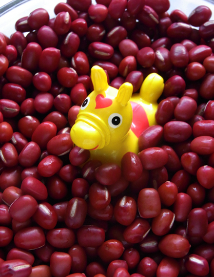 小豆RODY.jpg