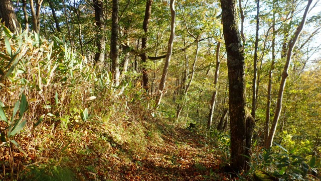 PA211497　14：58尾根歩き.jpg