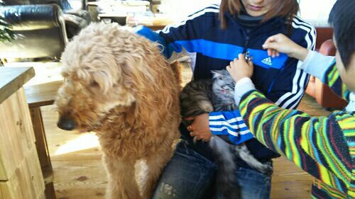 rblog-20171212185845-01.jpg