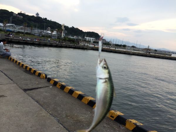rblog-20140712221146-02.jpg