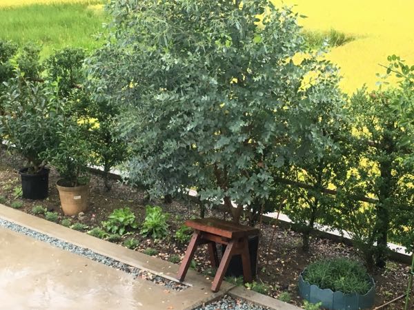 rblog-20170912073240-05.jpg