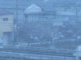 IMG_8670 縮小 - コピー.jpg