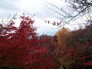 PICT0199.JPG
