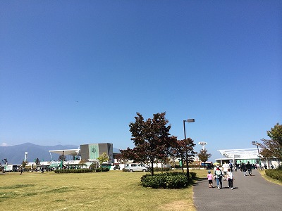 IMG_3792.jpg