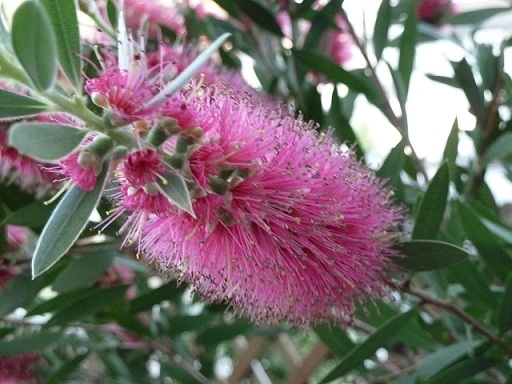 2013.6.4 004.JPG