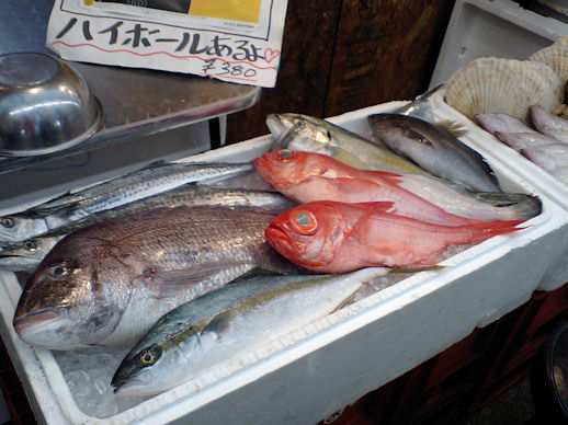 さかな